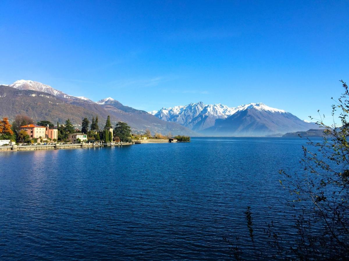 ABIES lago di Como Dongo Esterno foto