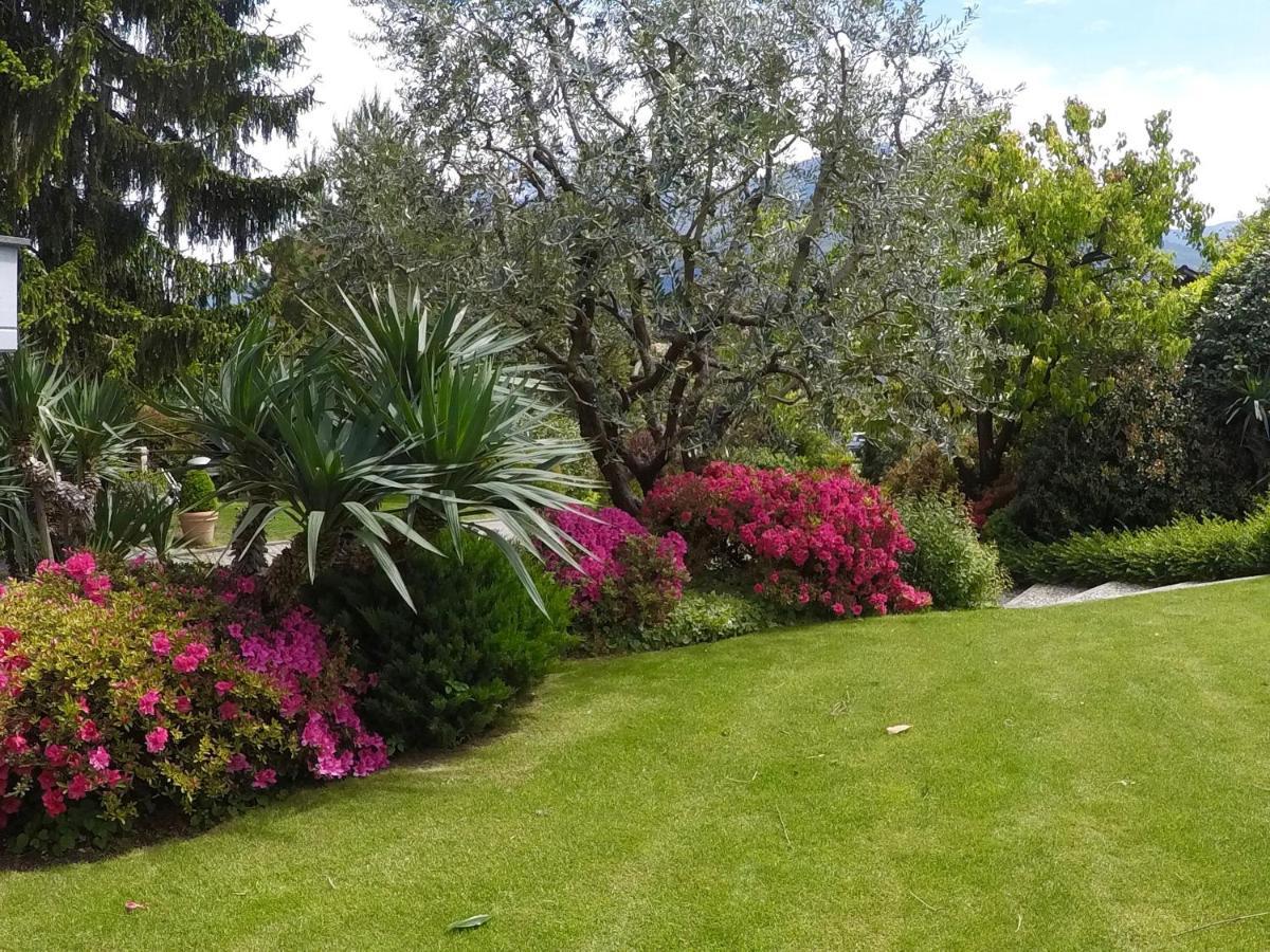 ABIES lago di Como Dongo Esterno foto