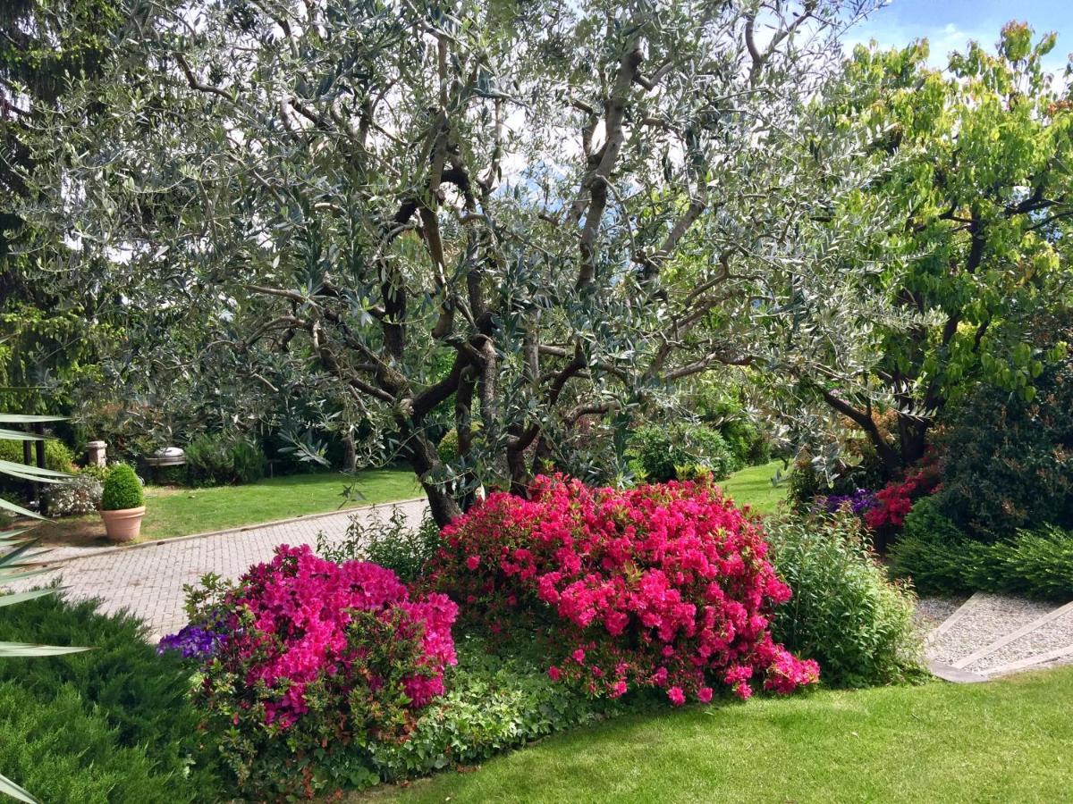 ABIES lago di Como Dongo Esterno foto