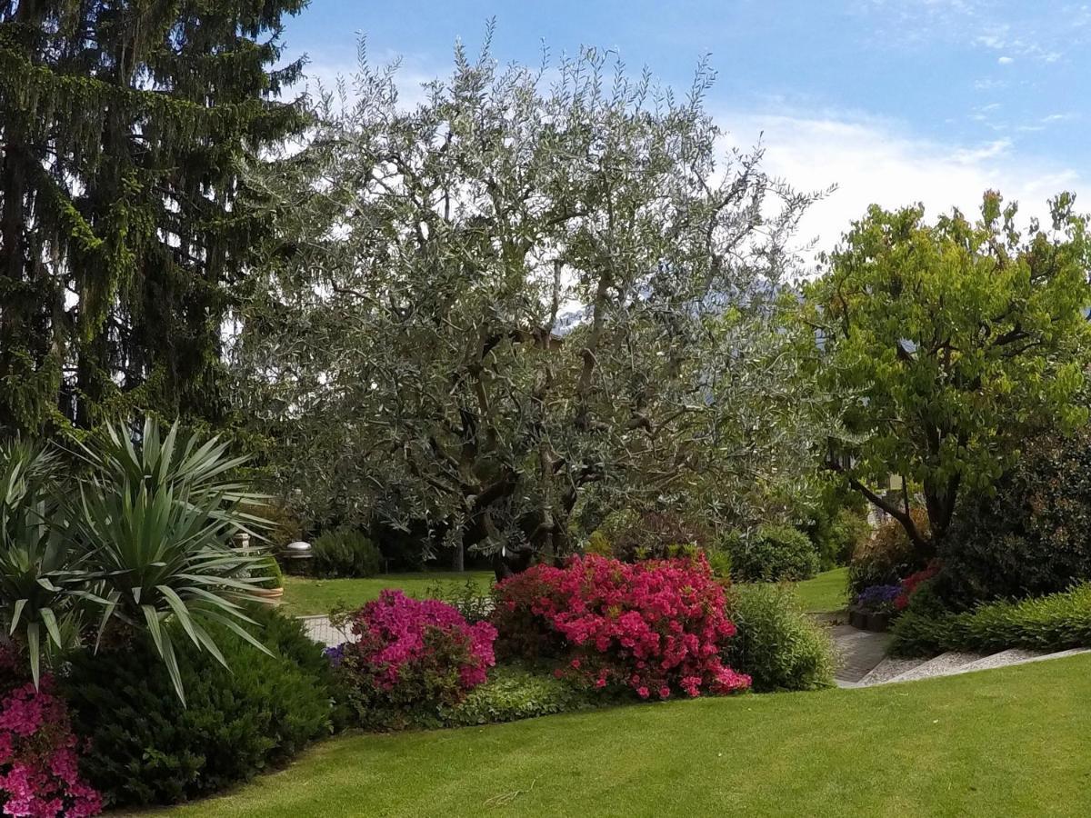 ABIES lago di Como Dongo Esterno foto