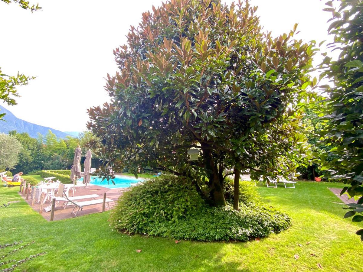 ABIES lago di Como Dongo Esterno foto